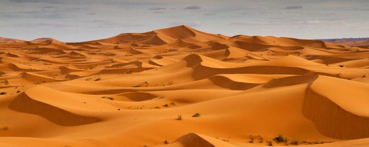 Viaggio nel deserto di 12 giorni da Casablanca